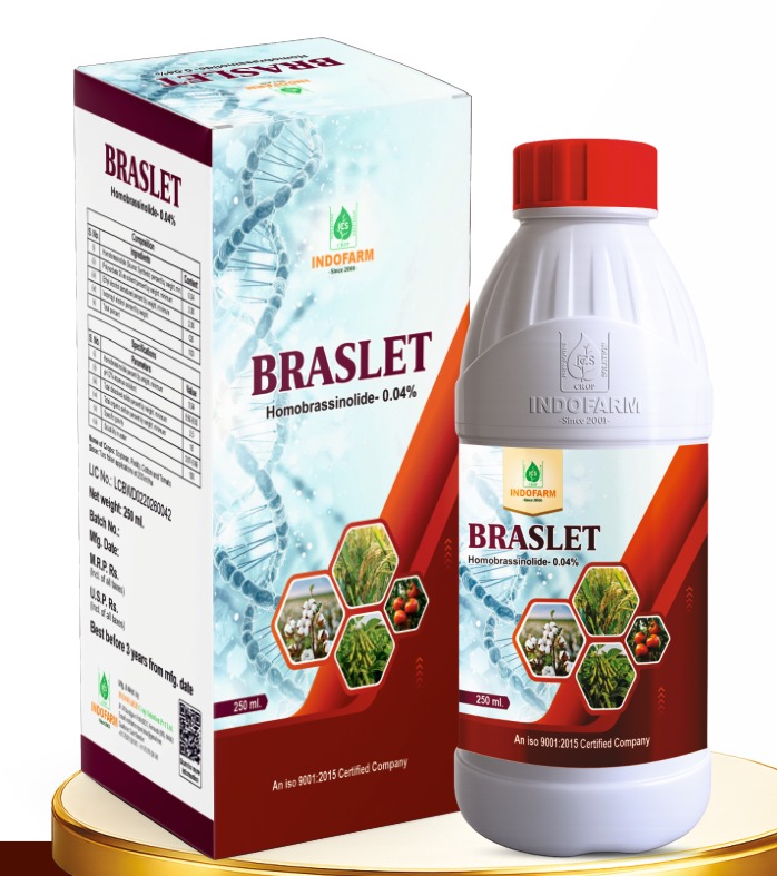 BRASLET